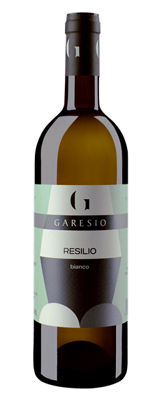 Monferrato DOC Bianco 